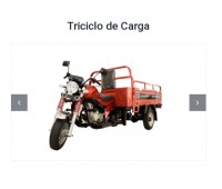 Triciclo de Carga 150c