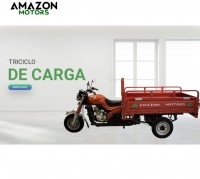 Triciclo de Carga 200c
