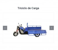 Triciclo de Carga 200c