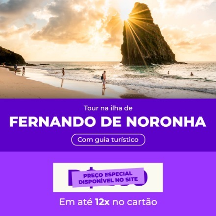 Ilha de Fernando de Noronha - Tour de Dia Inteiro. Preços a partir de:R$ 343 Até 12x no cartão Confirmação Instantânea!