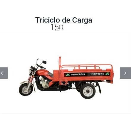 Triciclo de Carga 150c